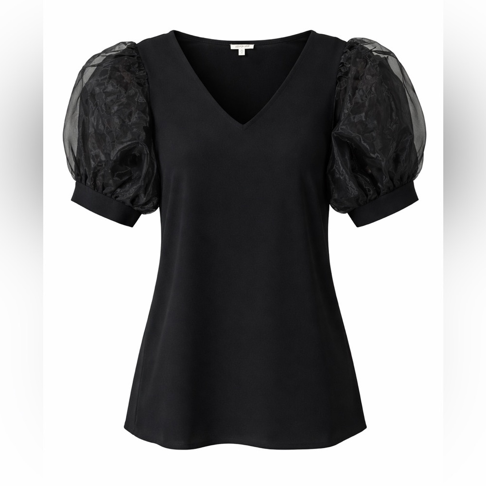 Jodifl sheer puff sleeve top, medium